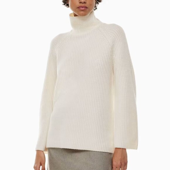 Aritzia Merino Wool Knit Turtleneck - Picture 1 of 10